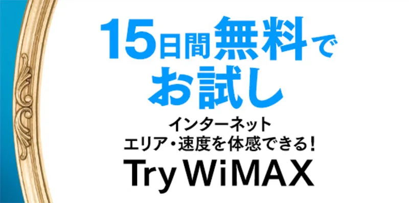 Try WiMAX