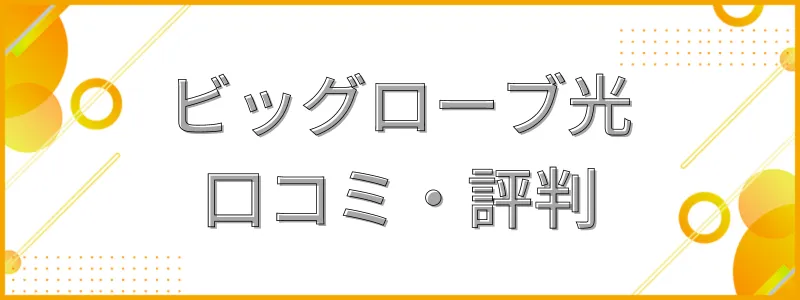 ビッグローブ光評判・口コミ_テキスト画像