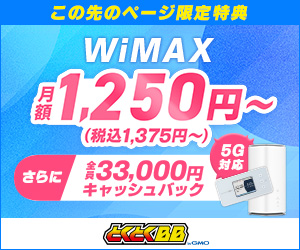 GMOとくとくBB WiMAX