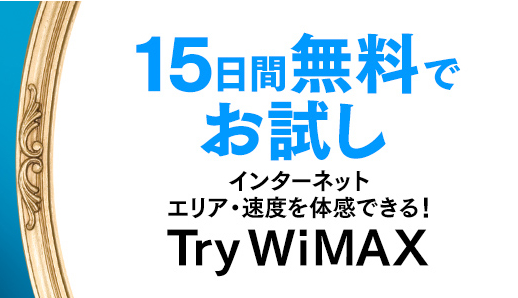 Try WiMAX